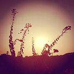 pro-violet-viettel/docs/template/assets/images/gallery/thumb-6.jpg